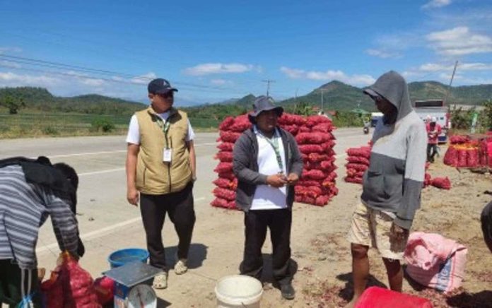 Onion farmers in Occidental Mindoro in an undated photo. The Department of Agriculture on Monday, Feb. 26, 2026, said it has intensified its monitoring to ensure reasonable farmgate prices of onions. PHOTO COURTESY OF DA
