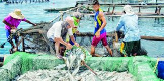 “The annual loss of 45 million kilograms of fish isn’t just a statistic. If you want to visualize it, it’s the equivalent of emptying a fully loaded jungle jet of fish out of our waters every single day,” according to a top officer of marine advocacy group Oceana. PHOTO COURTESY OF PNA