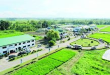 PhilRice-Negros station now accredited as farm tourism camp The Department of Tourism recognizes the Department of Agriculture-Philippine Rice Research Institute - Negros in Murcia, Negros Occidental as an accredited farm tourism site.