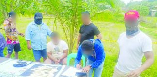 A 26-year-old Sangguniang Kabataan chairman in Sara, Iloilo yielded over P2 million worth of illegal drugs during a buy-bust operation in Barangay Ardemil, on Feb. 20, 2026. Police said the suspect was tagged as a high-value individual. IPPO PHOTO