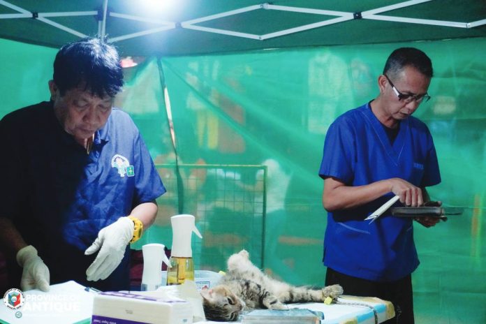Antique free vaccines copy Veterinary personnel administered anti-rabies vaccines and performed castration procedures on dogs and cats during a free veterinary outreach program held at Tiripunan Business Park in San Jose de Buenavista, Antique, as part of Rabies Awareness Month activities. PROVINCE OF ANTIQUE PHOTO