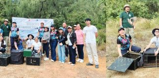 Rehabilitated wild birds were released into the forest at the Bantayan Release Site in Barangay Semirara, Caluya, Antique in February, as personnel from the DENR and partner agencies returned rescued wildlife to their natural habitat. DENR-6 PHOTO