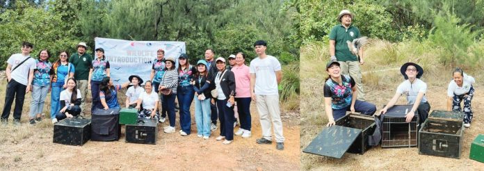 Rehabilitated wild birds were released into the forest at the Bantayan Release Site in Barangay Semirara, Caluya, Antique in February, as personnel from the DENR and partner agencies returned rescued wildlife to their natural habitat. DENR-6 PHOTO