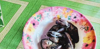 Seashells collected on March 19, were suspected to have caused the illness among six individuals in Barangay Singcang-Airport, Bacolod City. MAE SINGUAY/PN