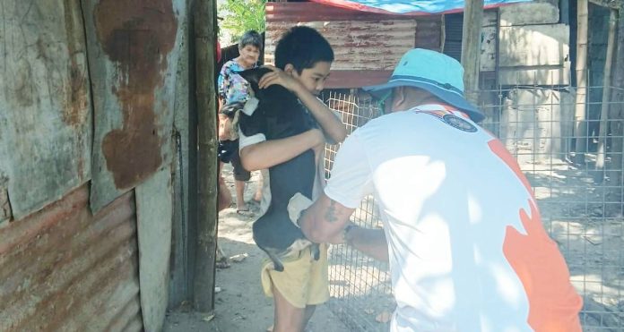 Personnel from the City Veterinary Office (CVO) administered anti-rabies vaccines to dogs during a house-to-house vaccination drive in Bacolod City as part of the local government’s intensified campaign to curb rabies and promote responsible pet ownership. BCCO-PIO PHOTO