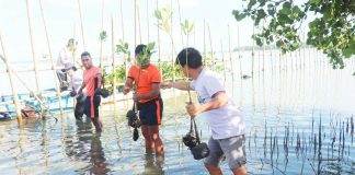 Residents, local officials, and volunteers planted mangrove seedlings along the shoreline of Barangay Quijo in President Roxas, Capiz on March 17, as part of a coastal rehabilitation drive led by the provincial government. CAPENRO PHOTO