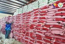 DA slaps P81-M penalties vs erring suppliers in 2025 The Fertilizer and Pesticide Authority issues Stop Use, Stop Move, Stop Sale Order against an unregistered fertilizer firm on March 4, 2026. PHOTO COURTESY OF DA