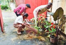 UNITED CAMPAIGN | Doctors’ goal: Zero dengue deaths by year 2030 Government employees in Bacolod City join the nationwide initiative of the Department of Health to search and destroy mosquito breeding sites in this February photo. Anchored on the theme “Alas Kwatro Kontra Mosquito,” the anti-dengue campaign urges Filipinos to work together every 4 p.m. in identifying and destroying all mosquito breeding sites. NEGROS OCCIDENTAL PROVINCIAL HEALTH OFFICE