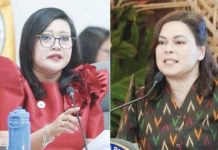 House pushes on with VP Sara impeach hearings amid SC challenge LUISTRO, DUTERTE-CARPIO