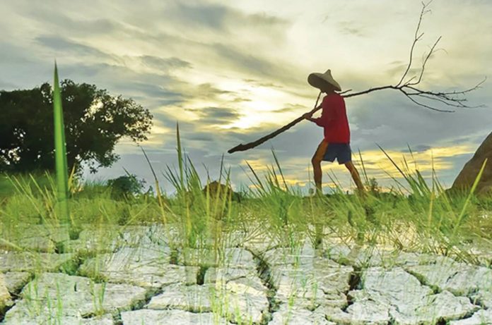 Pagasa The Philippines has experienced several significant El Niño events in the past, with devastating consequences. These events have resulted in droughts, agricultural losses, water shortages, and disruptions to everyday life. It is crucial to understand the gravity of these impacts and learn from past experiences to prepare for future occurrences effectively. PHOTO FROM PHILRICE