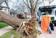 From tornadoes to blizzards, severe weather batters US Fierce winds blew down a tree in Bloomington, Indiana, USA. GETTY IMAGES