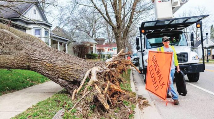 US Fierce winds blew down a tree in Bloomington, Indiana, USA. GETTY IMAGES