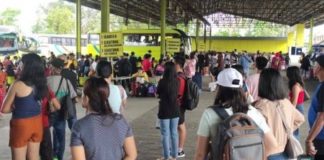 Photo courtesy of LTO - Negros Island Region