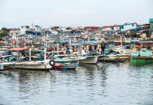 DOE clarifies rules on fuel sales in fuel-grade drums or containers Fishing boats docked in Tanza, Navotas City, known as the fishing capital of the Philippines, in this photo taken on Oct. 9, 2025. The Department of Energy on March 12, 2026 said fuel consumers, such as those involved in fishing and agriculture, hospitals, and telecommunications facilities, are the only ones allowed to purchase oil products using fuel-grade containers, but the volume should be proportionate to their needs. PNA PHOTO BY JOAN BONDOC