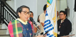 Iloilo Provincial Tourism Officer Aulynn Yue Sin says she intends to implement projects that will highlight Iloilo’s image as “a fun, foodie, and friendly destination.”