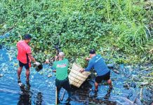 Waterways choked with waste; 142 kg of garbage hauled from Iloilo rivers in World Water Day cleanup drive Clean-up teams retrieve plastic waste and water hyacinths from a polluted waterway in Iloilo City, highlighting ongoing environmental challenges despite intensified efforts under the Environmental Management Bureau’s Adopt-an-Estero Program. PHOTO FROM ENVIRONMENTAL MANAGEMENT BUREAU - WESTERN VISAYAS