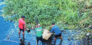 Clean-up teams retrieve plastic waste and water hyacinths from a polluted waterway in Iloilo City, highlighting ongoing environmental challenges despite intensified efforts under the Environmental Management Bureau’s Adopt-an-Estero Program. PHOTO FROM ENVIRONMENTAL MANAGEMENT BUREAU - WESTERN VISAYAS