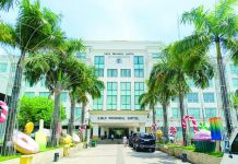 Iloilo turns over P10M for farm, fishery insurance The Iloilo Provincial Capitol Building.