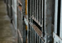 Woman arrested over bomb joke in Arevalo Photo courtesy of Humberto Portillo/Unsplash