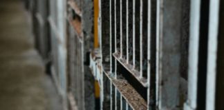 Photo courtesy of Humberto Portillo/Unsplash