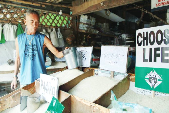 neljoy rice retailers - Antonio Parparan Veteran rice retailer Antonio Parparan attends to his stall in Pavia, Iloilo, reporting a P50 increase per sack and steady demand despite rising prices, as customers continue to rely on rice as a staple. AJ PALCULLO/PN