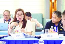 The widespread use of fine‑mesh nets locally known as “sinsoro” accelerates the depletion of marine resources because these capture juvenile and immature fish, says Director Remia Aparri of the Bureau of Fisheries and Aquatic Resources in Western Visayas. BFAR-6