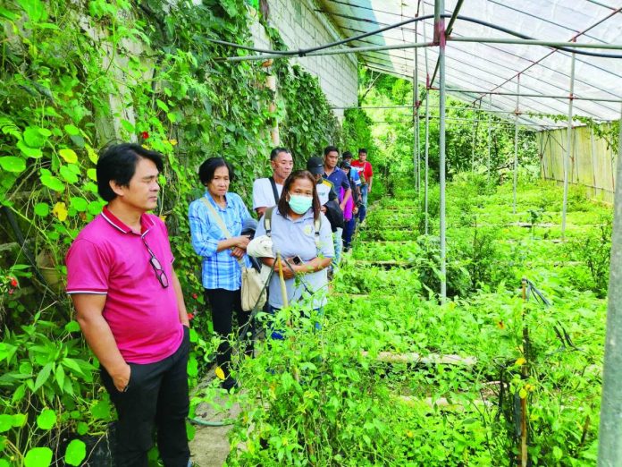 rural devt_compressed The Cosmic Farm in Benguet is one of the farm tourism sites in the country. “Farm tourism reminds us of something essential: the land must be cared for, the people who cultivate it must be valued, and progress must never come at the expense of either,” according to the Department of Tourism. PHOTO COURTESY OF COSMIC FARM.PH/FB PHOTO