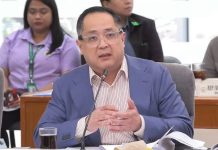 Iloilo mayors air concern over Rep. Suntay’s controversial remarks at House hearing Suntay. Photo courtesy of GMA News