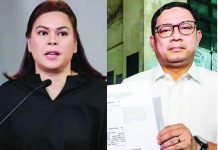 BIR opens tax audit into VP Sara, spouse, 9 companies after impeach disclosures Vice President Sara Duterte-Carpio and husband Manases āMansā Carpio