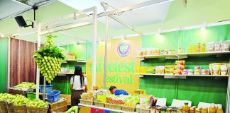 The Guimaras booth (Booths 192–194) at the DTI National Food Fair 2026 in Metro Manila, which earned the Best Dressed Booth award for its visually appealing design, organized display, and strong branding. The province’s world-famous mangoes also sold out during the event. DTI-WV PHOTO