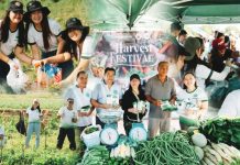 HARVEST OF HOPE. Urban farmers and volunteers from MORE Electric and Power Corporation gather, harvest, and market fresh produce during the Harvest Festival in Barangay San Isidro, Jaro, Iloilo City. This farm-to-market initiative seeks to strengthen community livelihoods and support sustainable urban agriculture.