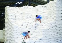 NFA to sell aging rice stocks to free up warehouses Workers arrange locally produce rice at the National Food Authority (NFA) warehouse in Valenzuela City, Metro Manila. INQUIRER FILE PHOTO / NIÑO JESUS ORBETA