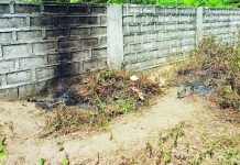 The wall beside a vacant lot in Green Meadows Subdivision, Barangay Ungka I, Pavia, Iloilo, where the burning body of an unidentified individual was discovered at around 4:30 a.m. on April 29, 2026. AJ PALCULLO/PN