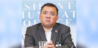 “The tax allegations against me are premised on a misunderstanding of basic corporate and tax principles. Any suggestion of tax liability at this stage is unfounded and premature,” says former presidential spokesperson Harry Roque.