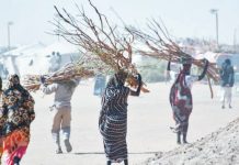 Sexual violence part of ‘everyday life’ in parts of Sudan Sudanese women carry firewood at Al Afad camp which hosts displaced people from the Darfur and Kurdufan regions. Sexual violence has become common even in areas not experiencing active conflict in Sudan. ANADOLU VIA GETTY IMAGES