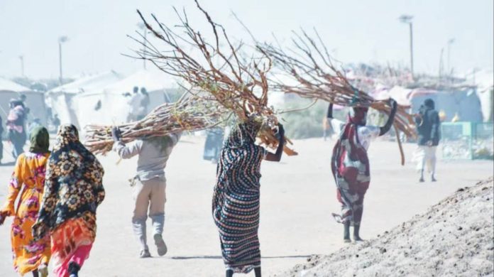 Sudan Sudanese women carry firewood at Al Afad camp which hosts displaced people from the Darfur and Kurdufan regions. Sexual violence has become common even in areas not experiencing active conflict in Sudan. ANADOLU VIA GETTY IMAGES