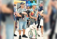 Pet lovers joined the opening of the 2nd Pet Festival in Bacolod City on April 8, at SM City Bacolod. MAE SINGUAY/PN