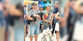 Pet lovers joined the opening of the 2nd Pet Festival in Bacolod City on April 8, at SM City Bacolod. MAE SINGUAY/PN