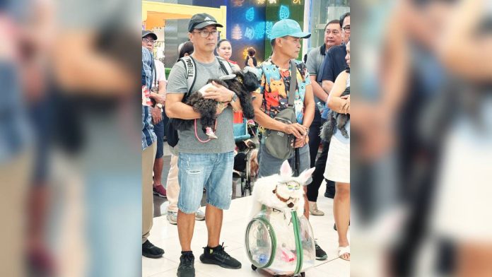 bcd-pet-festival Pet lovers joined the opening of the 2nd Pet Festival in Bacolod City on April 8, at SM City Bacolod. MAE SINGUAY/PN