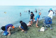 46°C HEAT INDEX SCORCHES ILOILO: PAGASA warns of intensifying ‘danger-level’ conditions Families beat the heat at a beach in Oton, Iloilo on Easter Sunday, April 5. The Philippine Atmospheric, Geophysical, and Astronomical Services Administration (PAGASA) Dumangas Station recorded a dangerous 43°C heat index on the same day. Authorities have cautioned that prolonged exposure to such intense heat significantly increases the risk of heat-related illnesses such as heat cramps, heat exhaustion, and even heat stroke. AJ PALCULLO/PN
