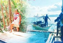 PRO-6 nets over P29M in fishing gear, lumber in March environmental crackdown Authorities confiscated illegally sourced lumber valued at P599,036.27 and over P28 million worth of assorted fish and fishing paraphernalia across Western Visayas in March 2026. PRO-6 PHOTO