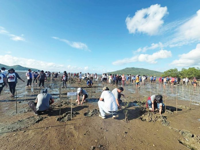 ime mangrove copy COASTAL CARE IN ACTION. Volunteers from various government agencies, local officials, and residents converge in Barangay San Fernando, Barotac Viejo, Iloilo to plant mangrove propagules as part of the province’s Semana sang Iloilo and Earth Day observance, reinforcing coastal protection and community-driven environmental stewardship. PGENRO PHOTO