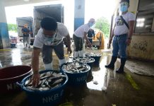Consumers alerted vs heat-driven fish spoilage; ‘Practice fish care cleanliness, and cooling’