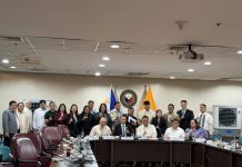 From One City to a Power Network: The Rise of a Trusted Energy Provider in the Visayas