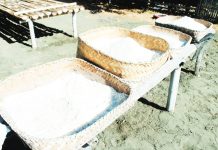 BFAR seeks to bring back the taste of WVās homegrown salt industry TRADITION IN CRYSTALS. Freshly harvested salt from the traditional ābudbudā method is laid out in woven trays in Miag-ao, Iloilo. This centuries-old craft traces back to 1823, when the town produced up to 10,000 sacks annually and sustained generations of local salt makers. PN PHOTO