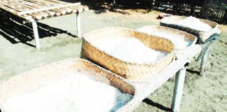 TRADITION IN CRYSTALS. Freshly harvested salt from the traditional “budbud” method is laid out in woven trays in Miag-ao, Iloilo. This centuries-old craft traces back to 1823, when the town produced up to 10,000 sacks annually and sustained generations of local salt makers. PN PHOTO