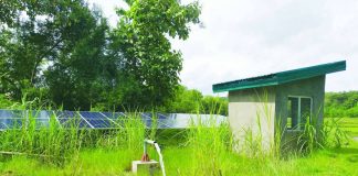 Solar-powered irrigation pumps of the National Irrigation Administration operate in rice fields in Miag-ao and San Miguel, Iloilo, providing cost-efficient, renewable water supply to farmers amid rising fuel prices and climate-driven dry spells. NIA-6