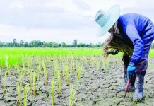 Bacolod SP approves twin resolutions to strengthen El Niño preparedness According to the Philippine Atmospheric, Geophysical and Astronomical Services Administration, there is a 92-percent probability of a moderate to strong El Niño occurring in the fourth quarter of 2026. This scenario could significantly reduce rainfall and strain water resources across key agricultural areas. PNA