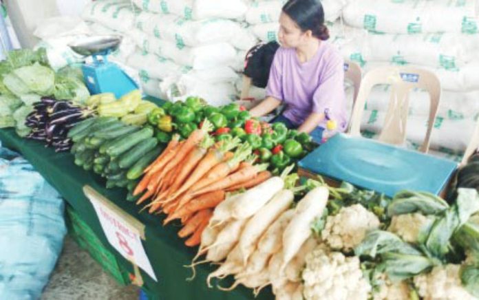 vegetable buffer FRESH FROM THE HIGHLANDS. A farmer from Alimodian’s “Seven Cities” showcases an abundant harvest of high-value vegetables during the town’s 9th Farmers’ Day celebration on March 26, 2026. Local agriculture officials expressed confidence that the municipality can deliver substantial volumes of produce to help meet Western Visayas’ growing demand. PNA