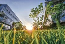 Sustainability and Global Competitiveness: What Your Company Should Know Photo courtesy of Zhang qc/Unsplash